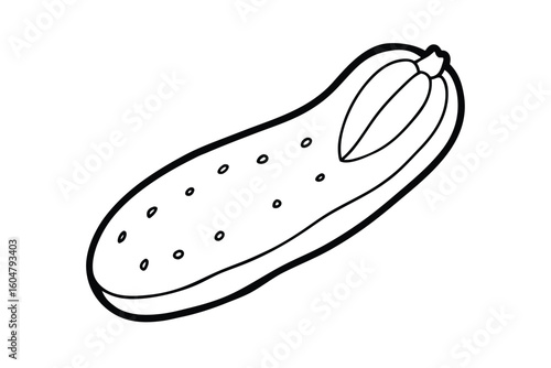 Cucumber With Cross Section Clean Vector
