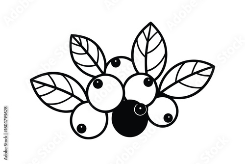 Cranberries With Green Leaf Flat Illustration