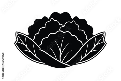 Collard Greens Flat Style No Text