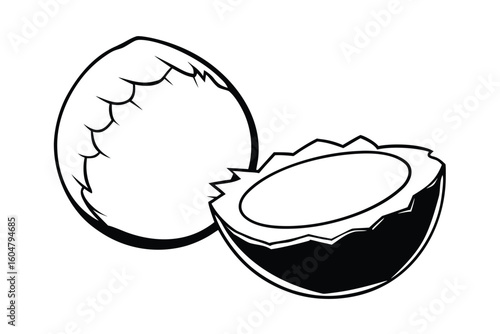 Coconut Whole And Cracked Open Minimalist Style
