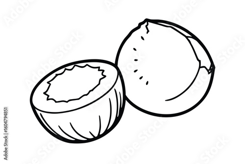 Coconut Whole And Cracked Open Minimalist Style