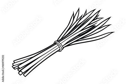 Chives Bundle With White Background No Text