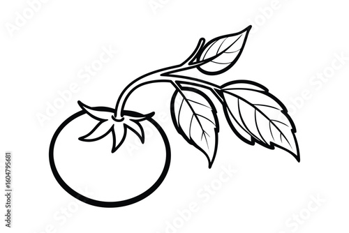 Cherry Tomato On Vine Simple Clean Vector