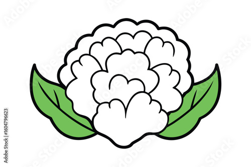Cauliflower With Green Leaves Flat Doodle Vector