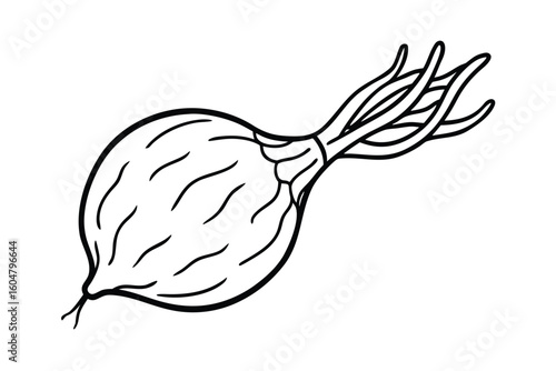 Celeriac Root Whole Clean Background No Text