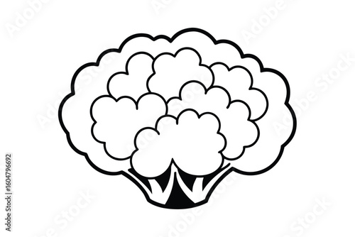 Cauliflower Head In Flat Design No Text