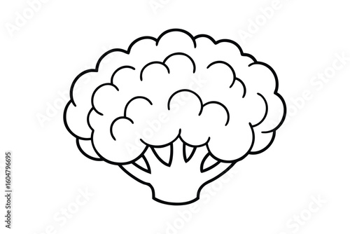 Cauliflower Head In Flat Design No Text