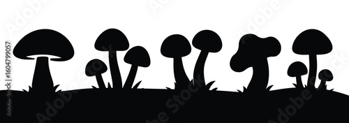 Wild mushroom vector silhouettes. Black silhouettes isolated on white background. Flat nature fungi vector illustrator. 