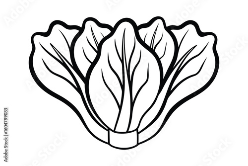 Bok Choy With White Stalks Flat Vector No Text