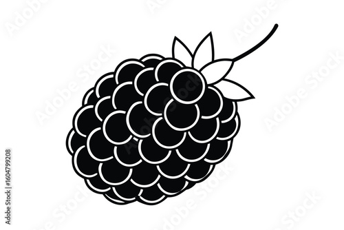 Blackberry Fruit In Flat Colorful Style No Text