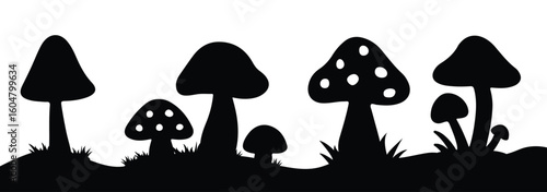 Wild mushroom vector silhouettes. Black silhouettes isolated on white background. Flat nature fungi vector illustrator. 