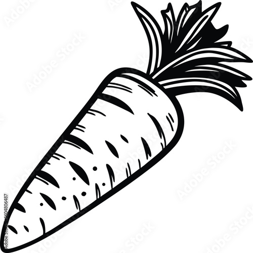 Single carrot with leafy green top vegetable food