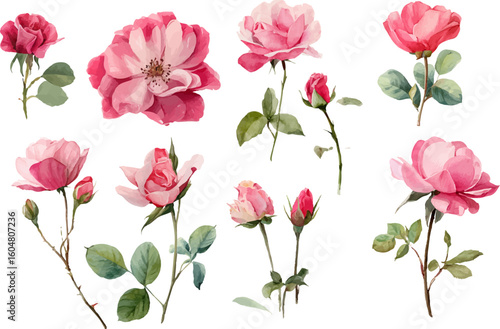 Wallpaper Mural seamless pattern with pink roses Torontodigital.ca