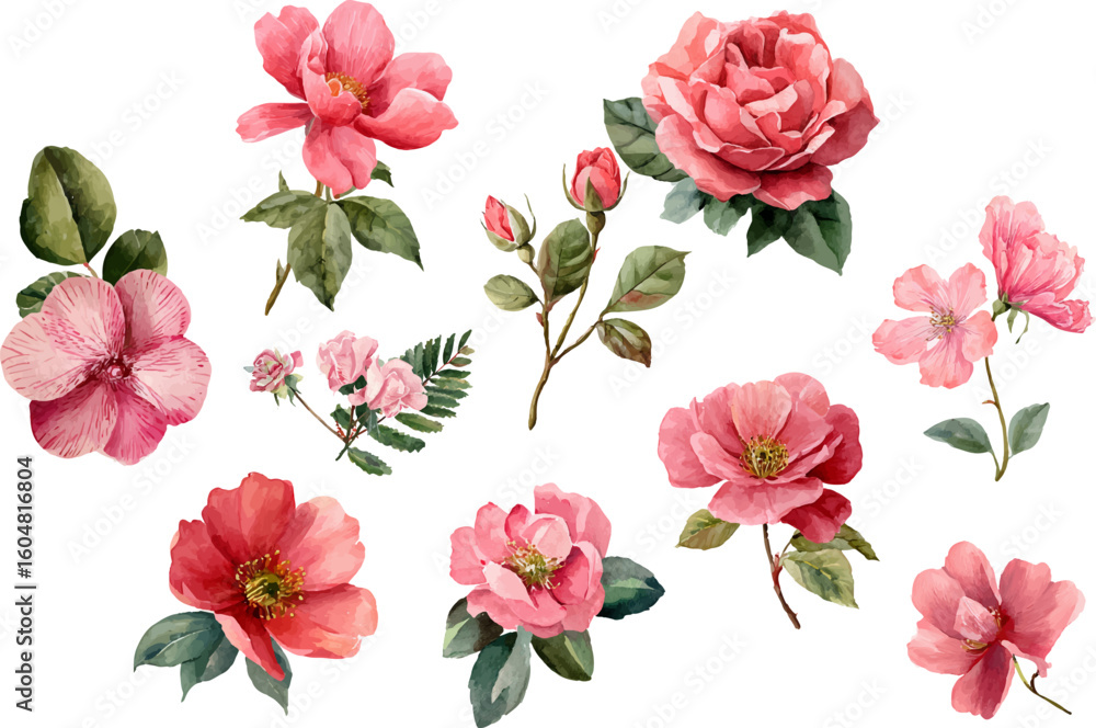Fototapeta premium seamless pattern with pink roses