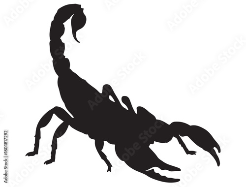 SCORPIO SILHOUETTE