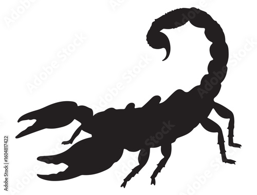 SCORPIO SILHOUETTE