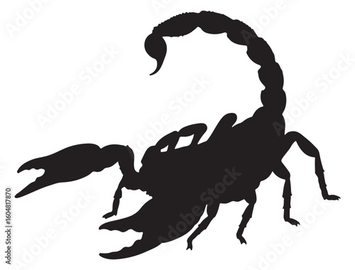 SCORPIO SILHOUETTE