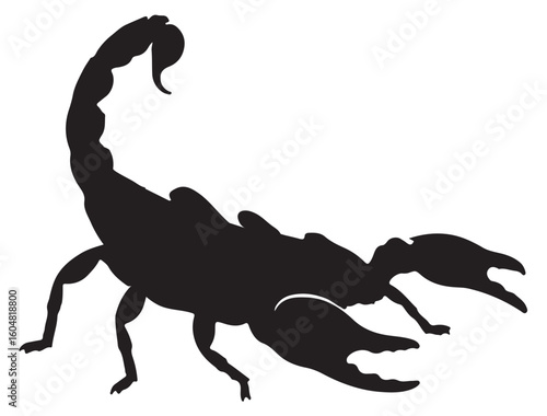 SCORPIO SILHOUETTE