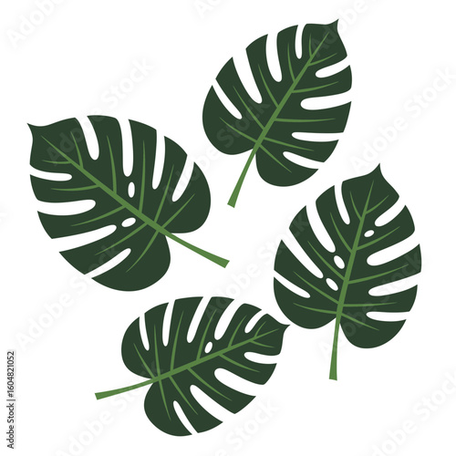 Four Stylized Monstera Leaves with Dark Green Color and Unique Shapes