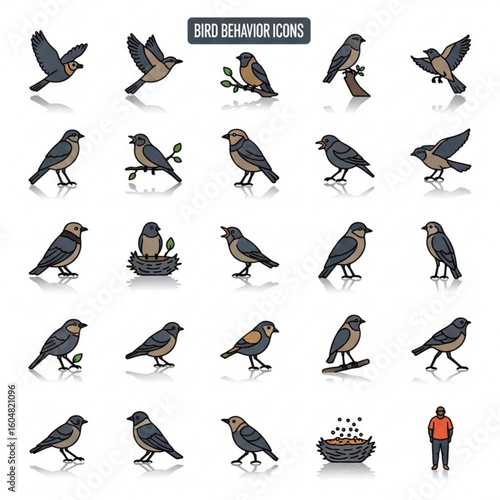 Bird Character Vector Set – Toucans, Robins, Nesting Birds, and Cartoon Expressions