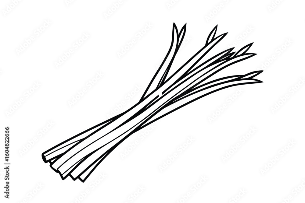 Whole Lemongrass Stalks Flat Vector No Text Whole Lemongrass Stalks Flat Vector No Text