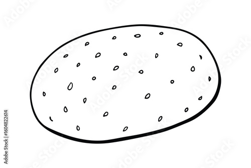 Whole Potato With Speckled Skin Clean Vector