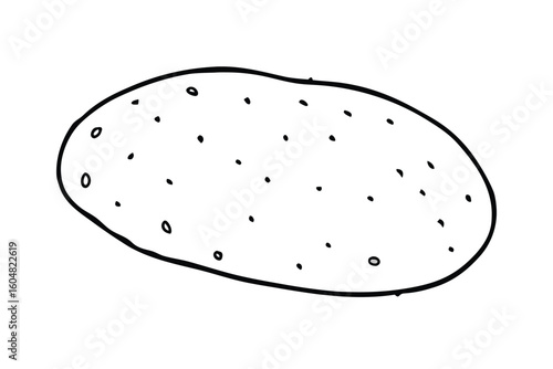 Whole Potato With Speckled Skin Clean Vector