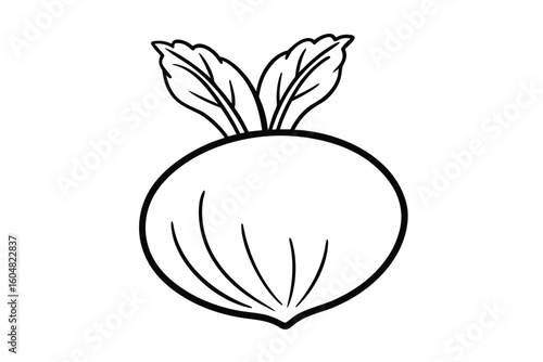 Whole Green Kohlrabi Flat Design No Text