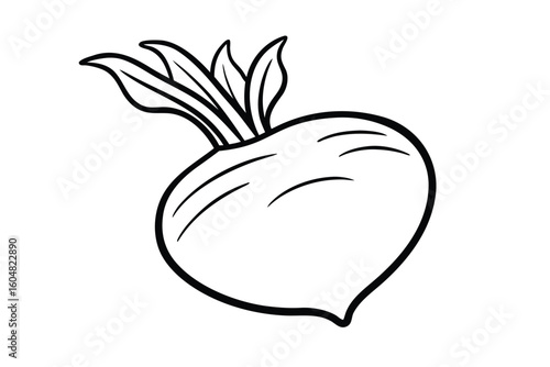 Whole Green Kohlrabi Flat Design No Text