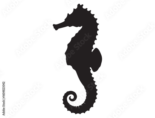 SEAHORSE SILHOUETTE