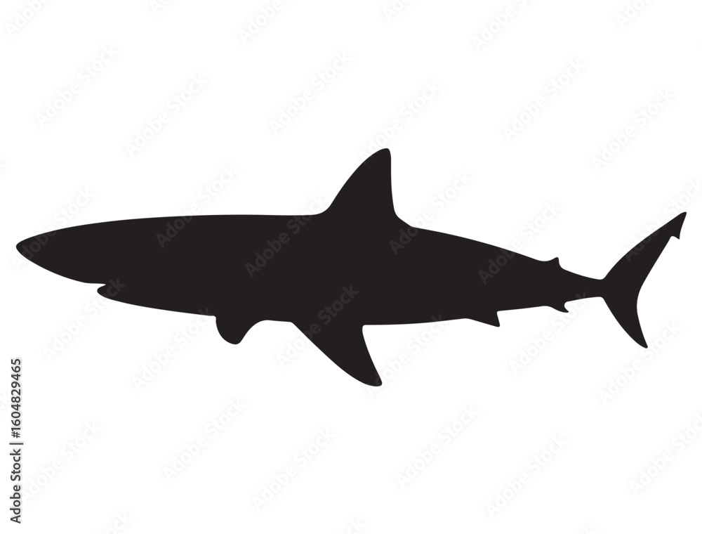 Fototapeta premium SHARK SILHOUETT