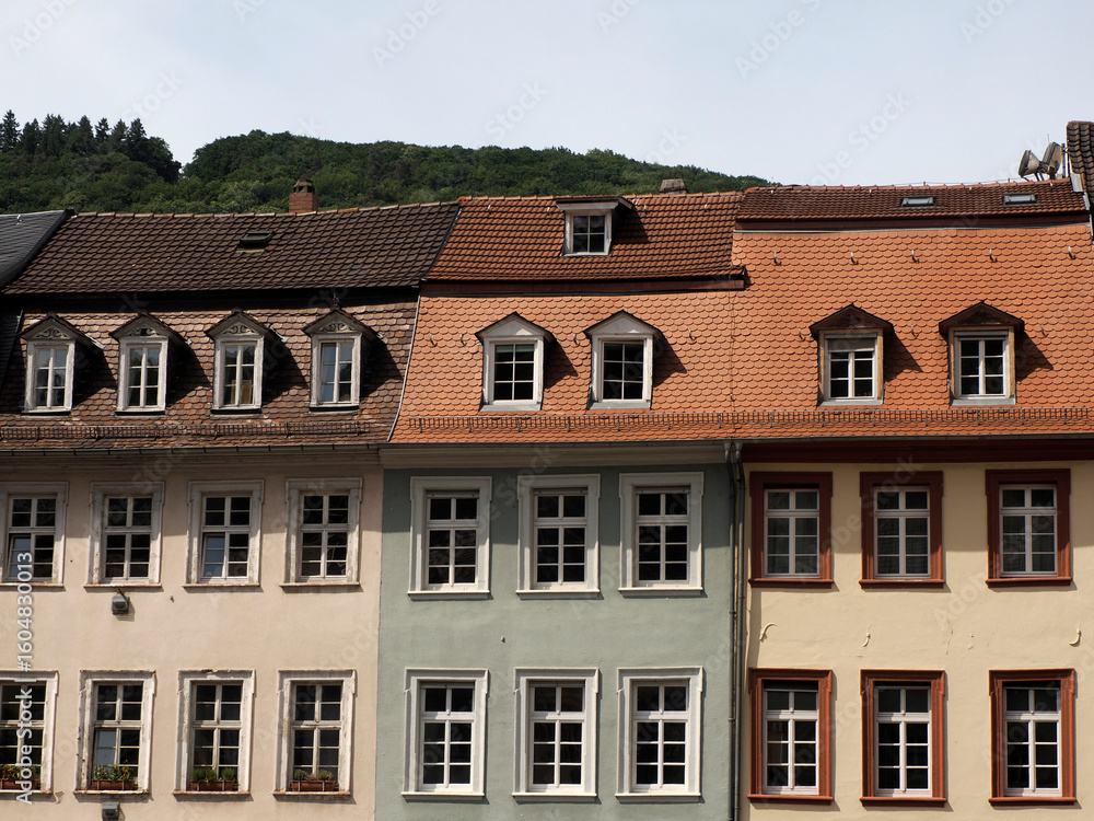Fototapeta premium heidelberg ancient building detail close up