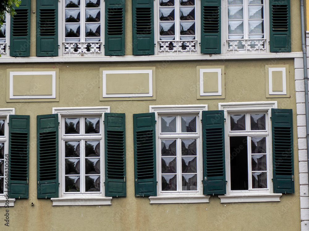 Fototapeta premium heidelberg ancient building detail close up