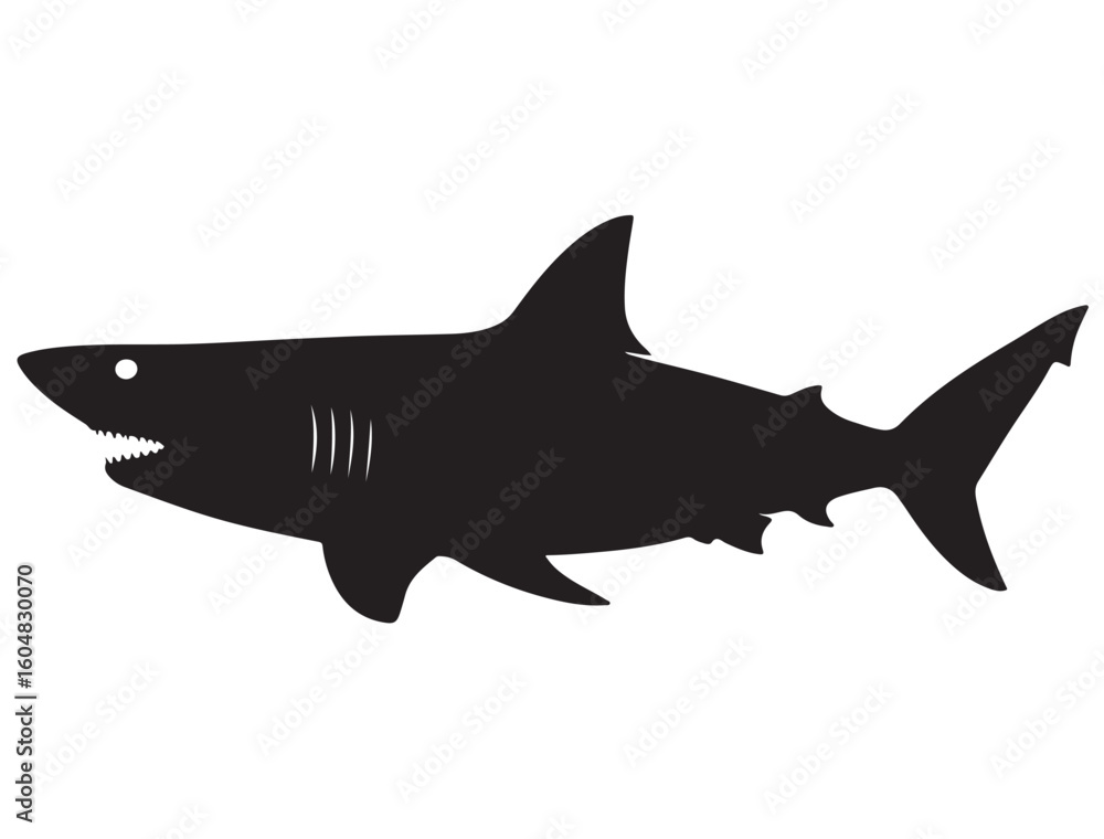 Fototapeta premium SHARK SILHOUETT
