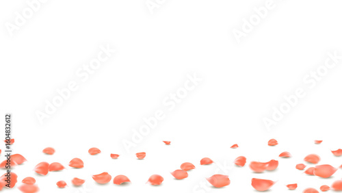 Orange rose petals gently falling and scattered across a transparent background