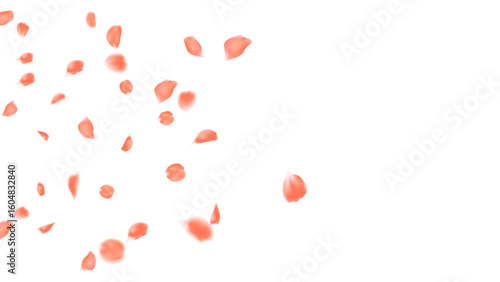 Realistic orange rose petals flying floating motion vector. Romantic event background, floral wedding invitation