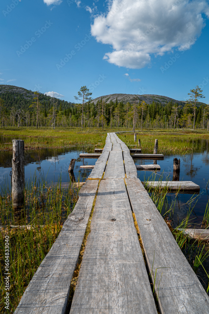 Fototapeta premium Wooden boardwalk path through a marshland landscape with trees under a blue sky