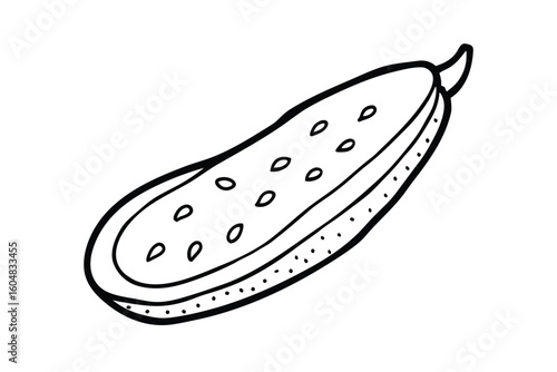 Sliced Cucumber With Seeds Clean Vector No Text