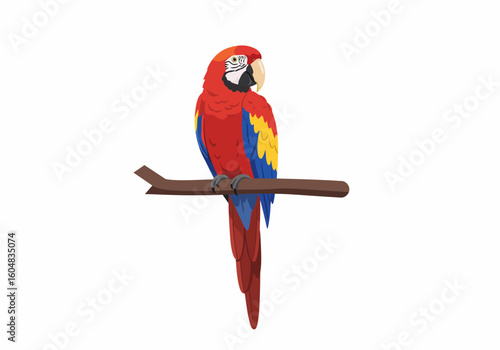 Vibrant Scarlet Macaw Perched on Branch Colorful Plumage Detailed Vector.
