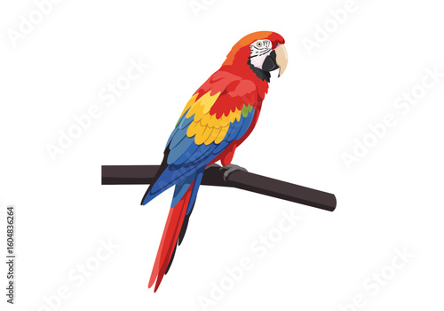 Vibrant Macaw Perched on Branch Colorful Feathered Bird.