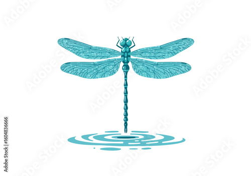 Teal Dragonfly with Detailed Wings Touching Water Surface Illustration.