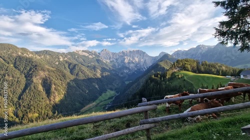 Hyper lapse of Logarska Dolina- farm, cows and mountains with houses from the Solcava panoramic road, Logar valley, Slovenia, Europe.