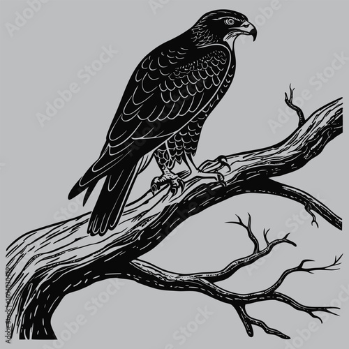 Falcon perched on old branch silhouette vector design art and illustration