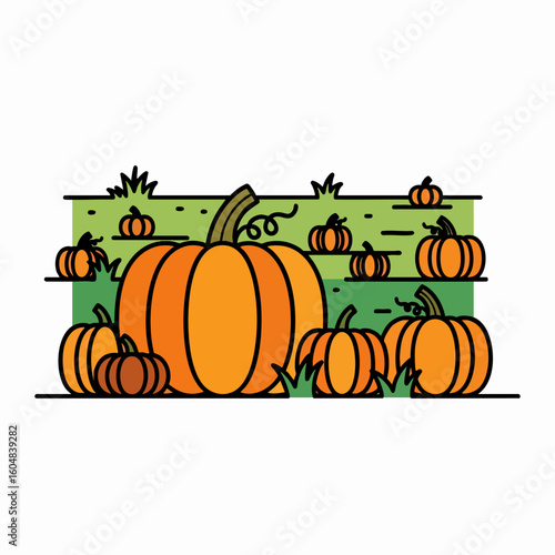 Pumpkin Patch Autumn Harvest Vector Illustration