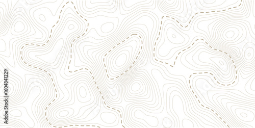 Topographic contour map. similarcartography illustration. Topography and geography map grid abstract backdrop. Business concept. Fish Fillet Texture, Salmon fillet texture, fish pattern. paper texture