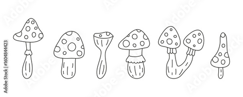 Set of cute hand drawn outline fly agaric amanita mushrooms isolated on white background.