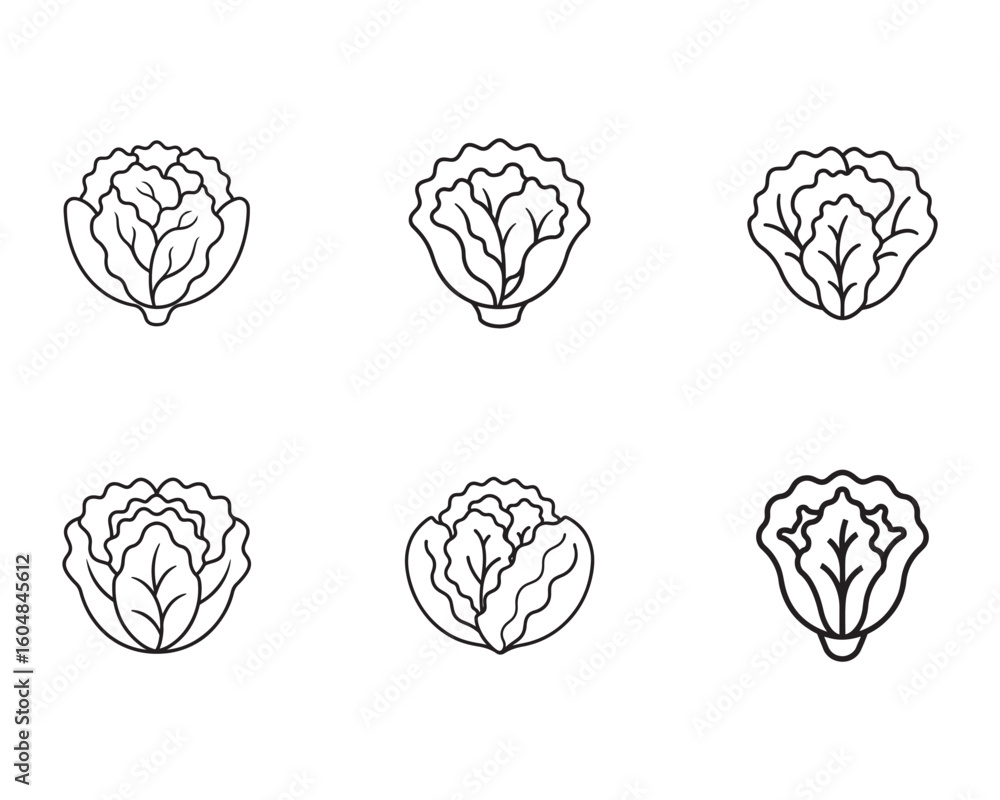 Fototapeta premium Collection of Lettuce Head Outlines in Minimalist Style for Healthy Eating and Gardening Illustrations
