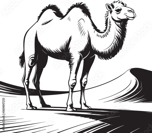 Dromedary Camel Silhouette Vector Illustration Isolated on Transparent Background