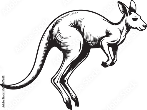 Dynamic Kangaroo Jumping Vector Illustration in Black and White Style on Transparent BG