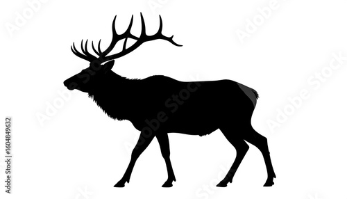 Silhouette of a walking elk